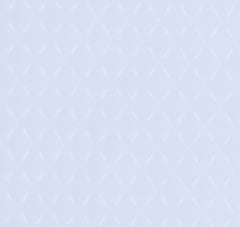 パスキネルゲルシート