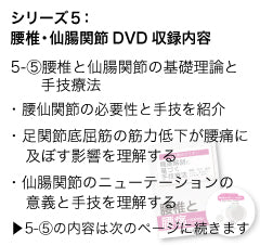 竹内義享 手技療法セミナーDVD(腰椎と腰痛)