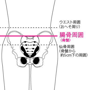 アスリートバックベルト