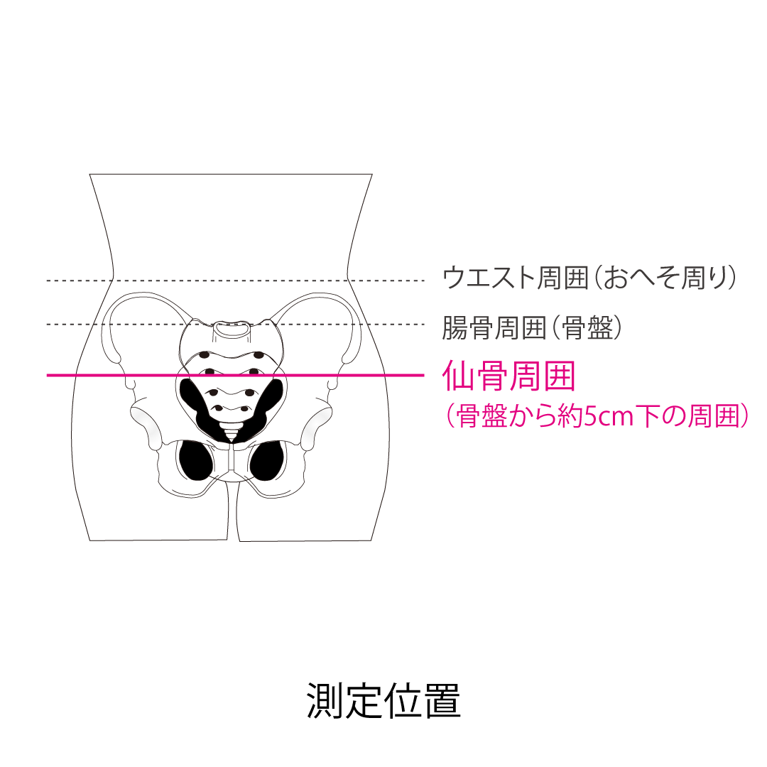 スリム仙骨ベルト