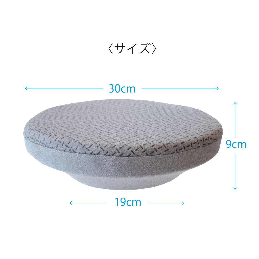 すわルンバHOME