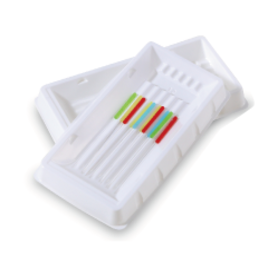 セイリンパレット(100枚入)