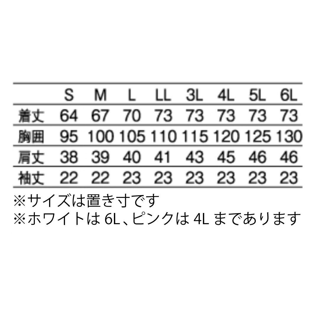 レディス医務衣半袖 ブロード