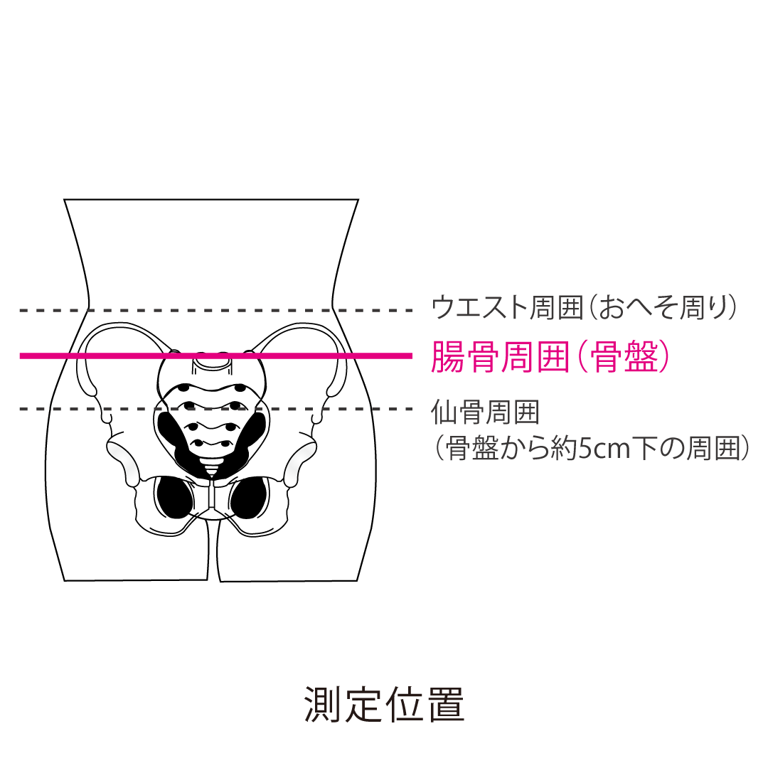 プロハードFit