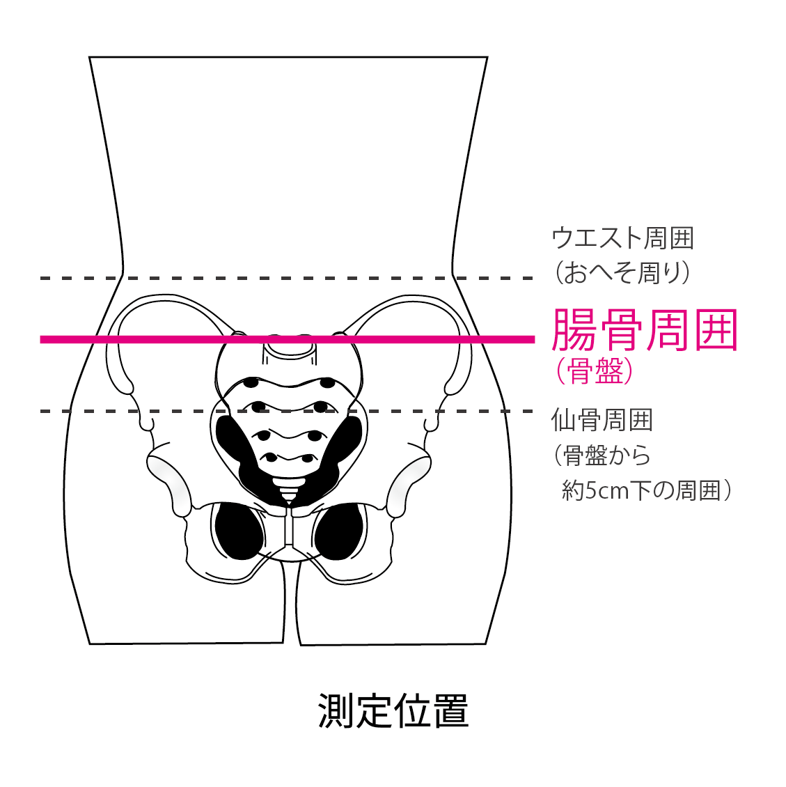 （リニューアル後）プロハード