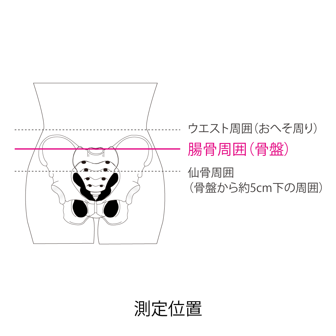 プロソフト100