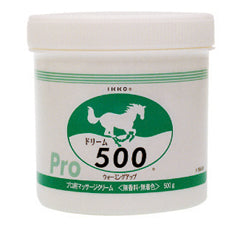 ドリーム500