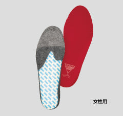 DSIS ソルボランニングエア