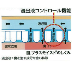 医療用傷パッド大判