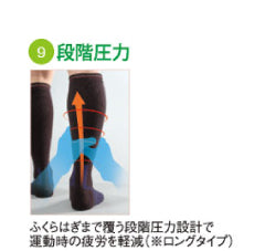 D-LINEサポートソックス