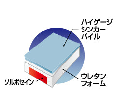 DSIS ソルボランニング