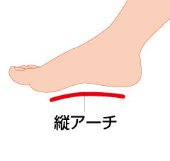 ソルボタテアーチサポーター