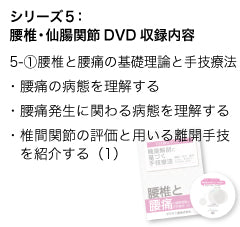 竹内義享 手技療法セミナーDVD(腰椎と腰痛)