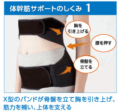 骨盤姿勢　体幹筋サポーター