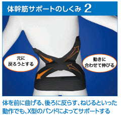 骨盤姿勢　体幹筋サポーター