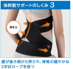 骨盤姿勢　体幹筋サポーター