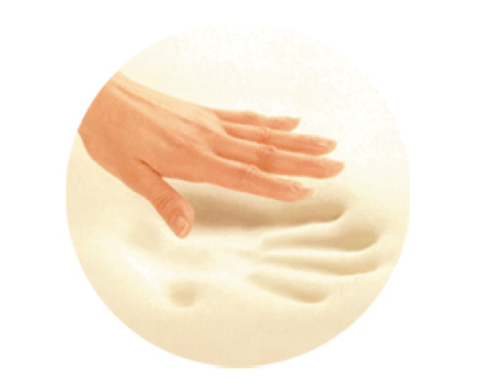 アリス/有孔アリス