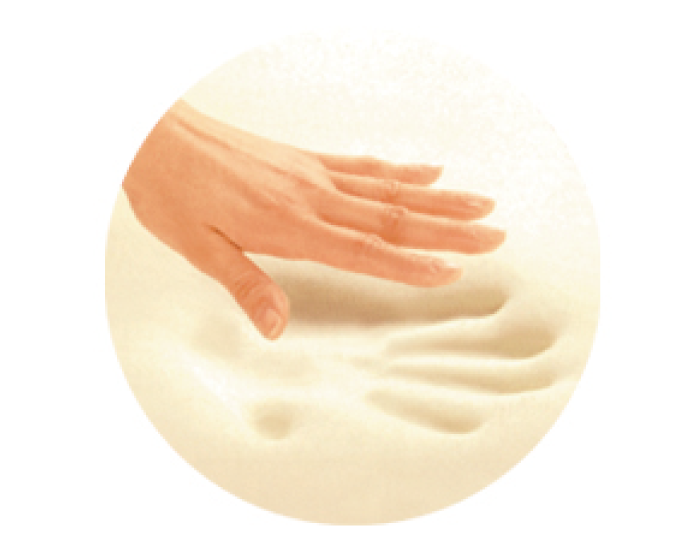 リセナ/有孔リセナ