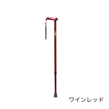 ヒューゴステッキ