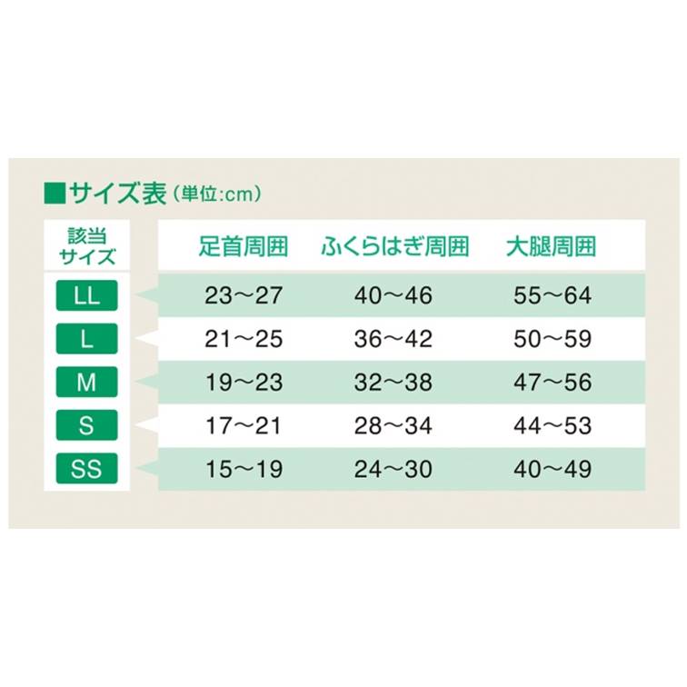 アンシルク®･2