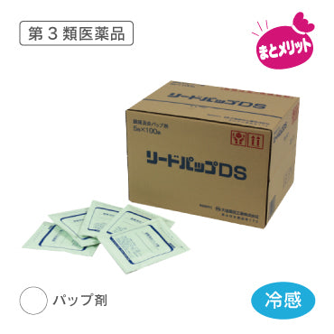 リードパップDS