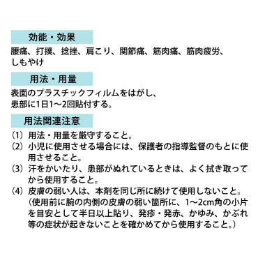 新ホルキスクール