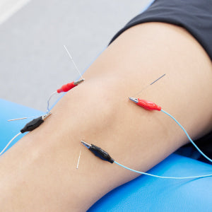 エスプリ　PG-1601