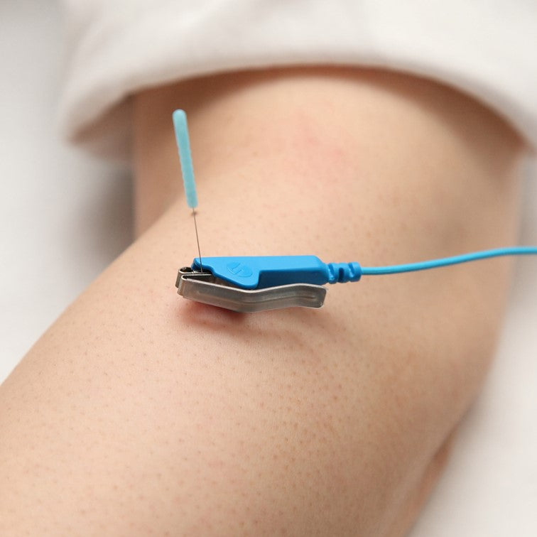 picorina(ピコリナ)