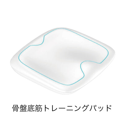 電磁パルスTESLA IMPACT