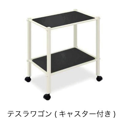 TESLA IMPACT専用備品