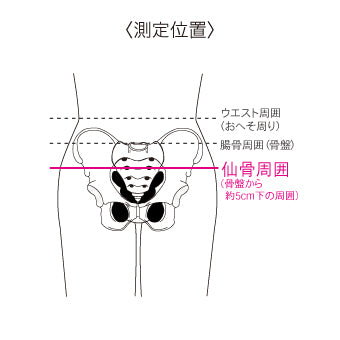 bonbone マルチ骨盤ベルト｜骨盤だけでなくマルチに使えるサポーター