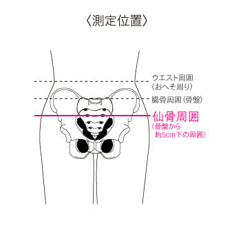 bonbone マルチ骨盤ベルト