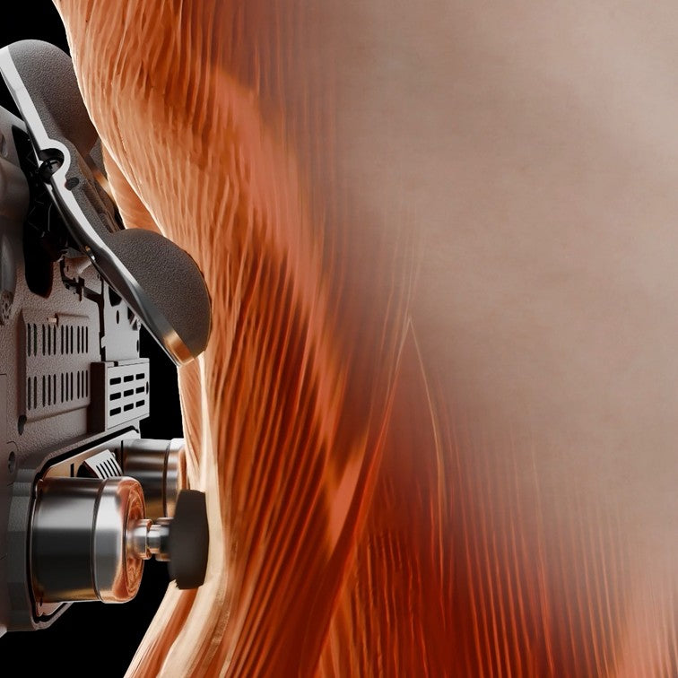 MYTREX REBIVE SEAT（マイトレックス リバイブシート）