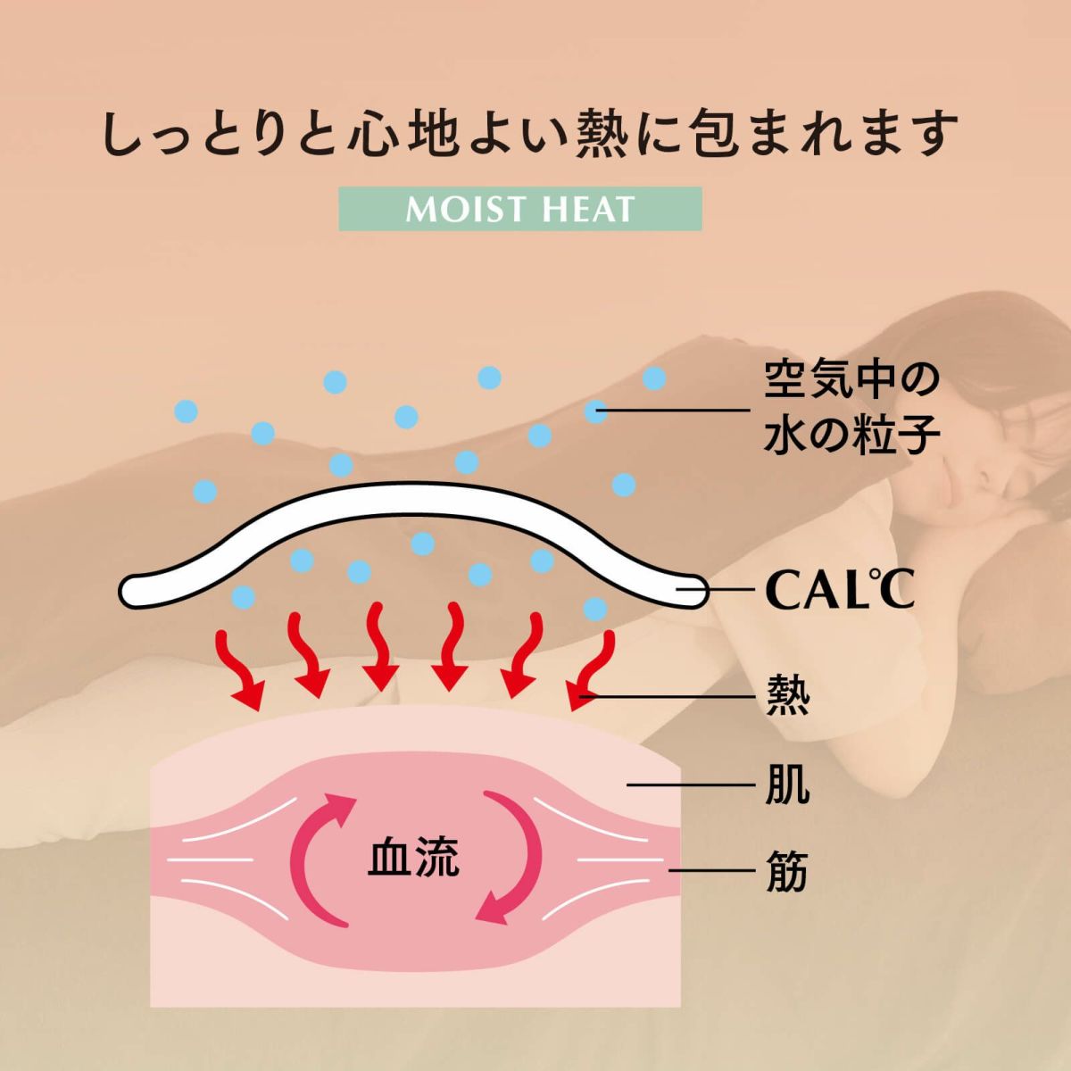 湿熱性ホットパック CAL℃（カルド） – 【施術・医療従事者向け】ダイヤ