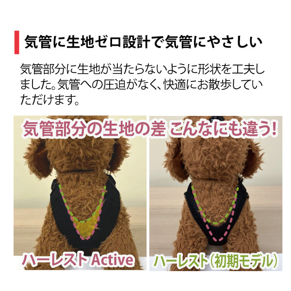ｱﾆｻﾎﾟ ﾊｰﾚｽﾄ Active