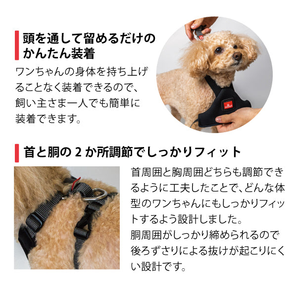 ｱﾆｻﾎﾟ ﾊｰﾚｽﾄ Active