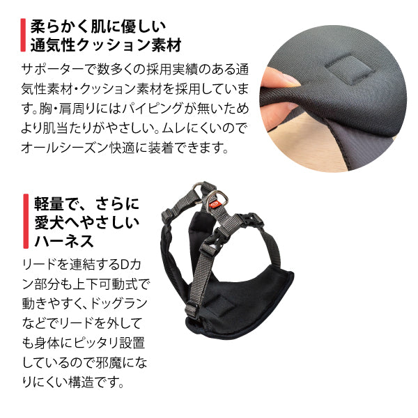 ｱﾆｻﾎﾟ ﾊｰﾚｽﾄ Active