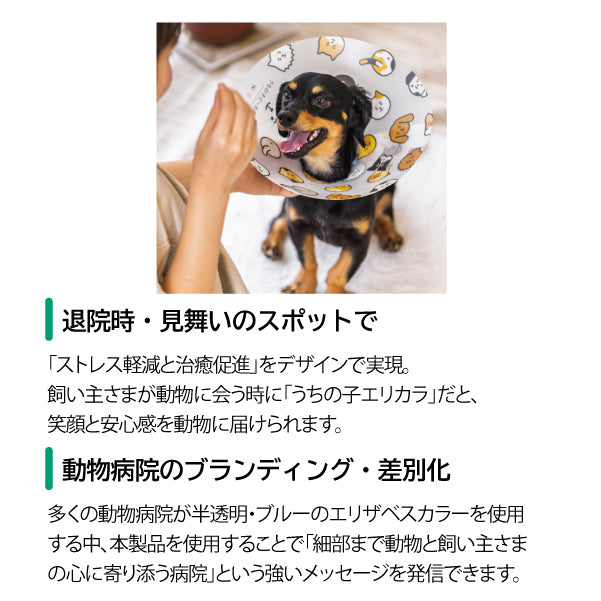 ｱﾆｻﾎﾟ うちの子エリカラ
