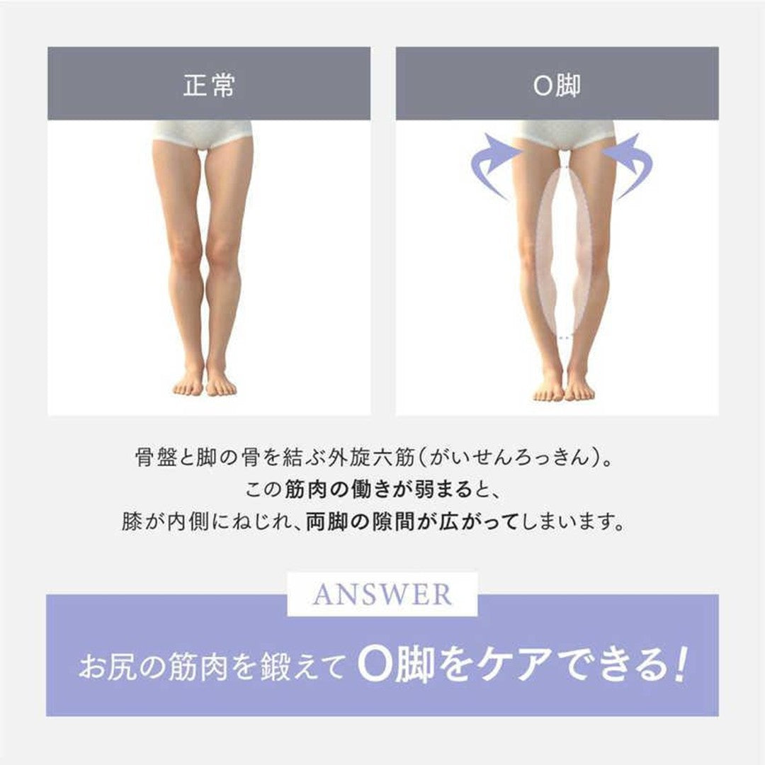 MYTREX MODIFIT LEG(モディフィットレッグ) – 【施術・医療従事者向け