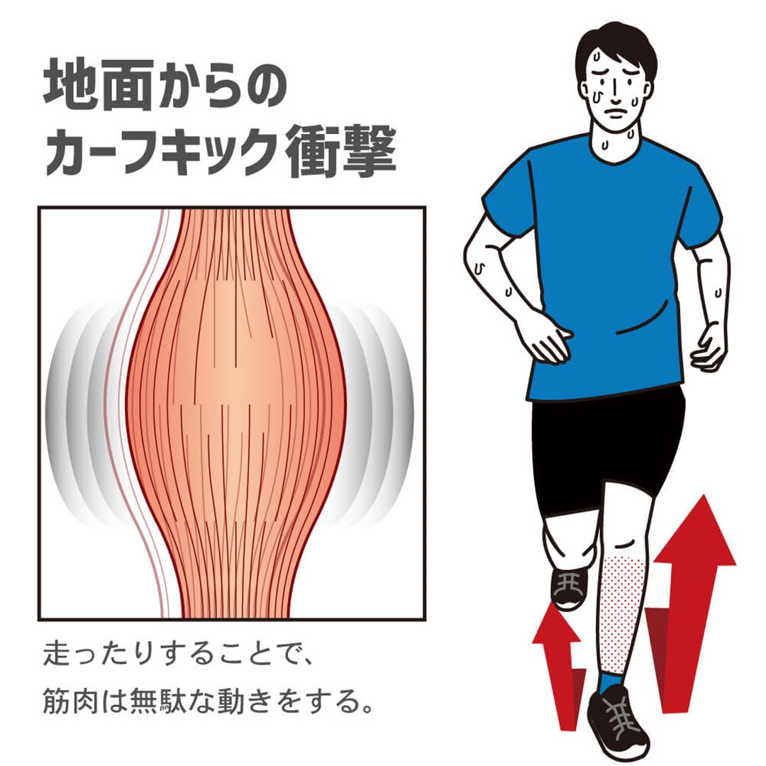 アクティバイタル ゲイターソックス