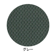 ロコレガン