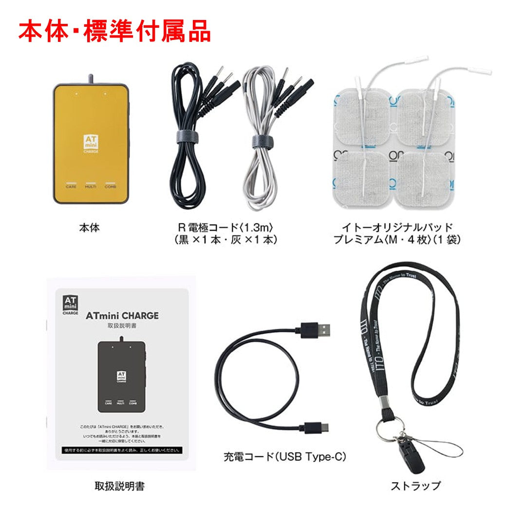 ATmini CHARGE(エーティーミニ チャージ)