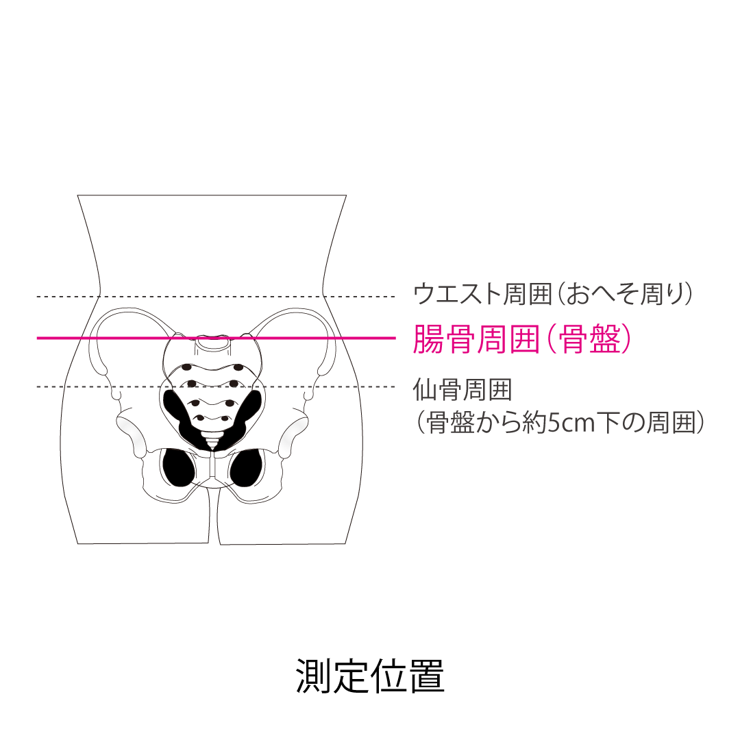 (リニューアル前)プロハードスリム