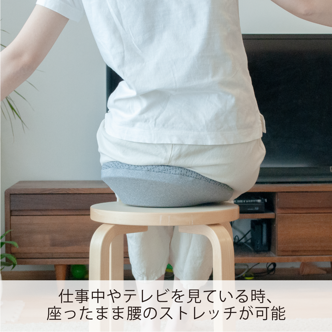 すわルンバHOME