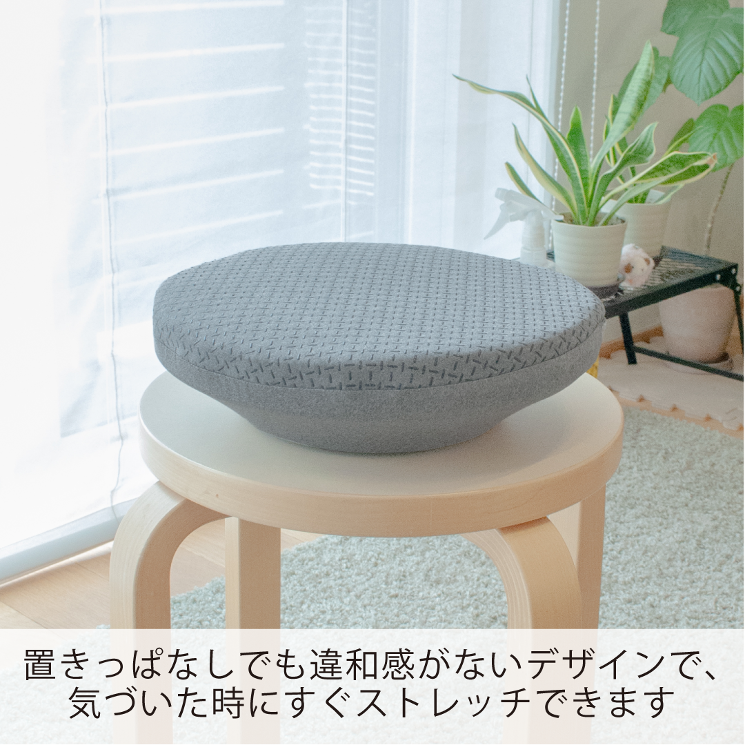 すわルンバHOME