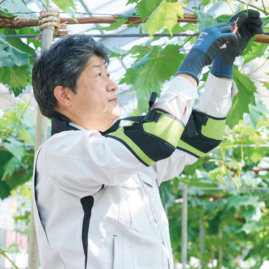 DARWING Agerelude（アゲレルデ）