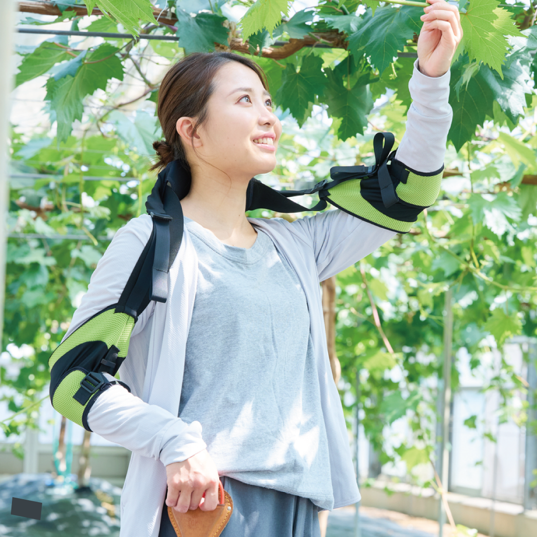 DARWING Agerelude（アゲレルデ）