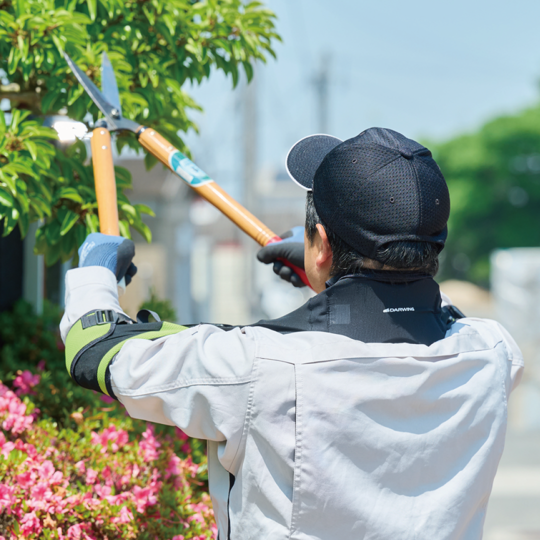 DARWING Agerelude（アゲレルデ）