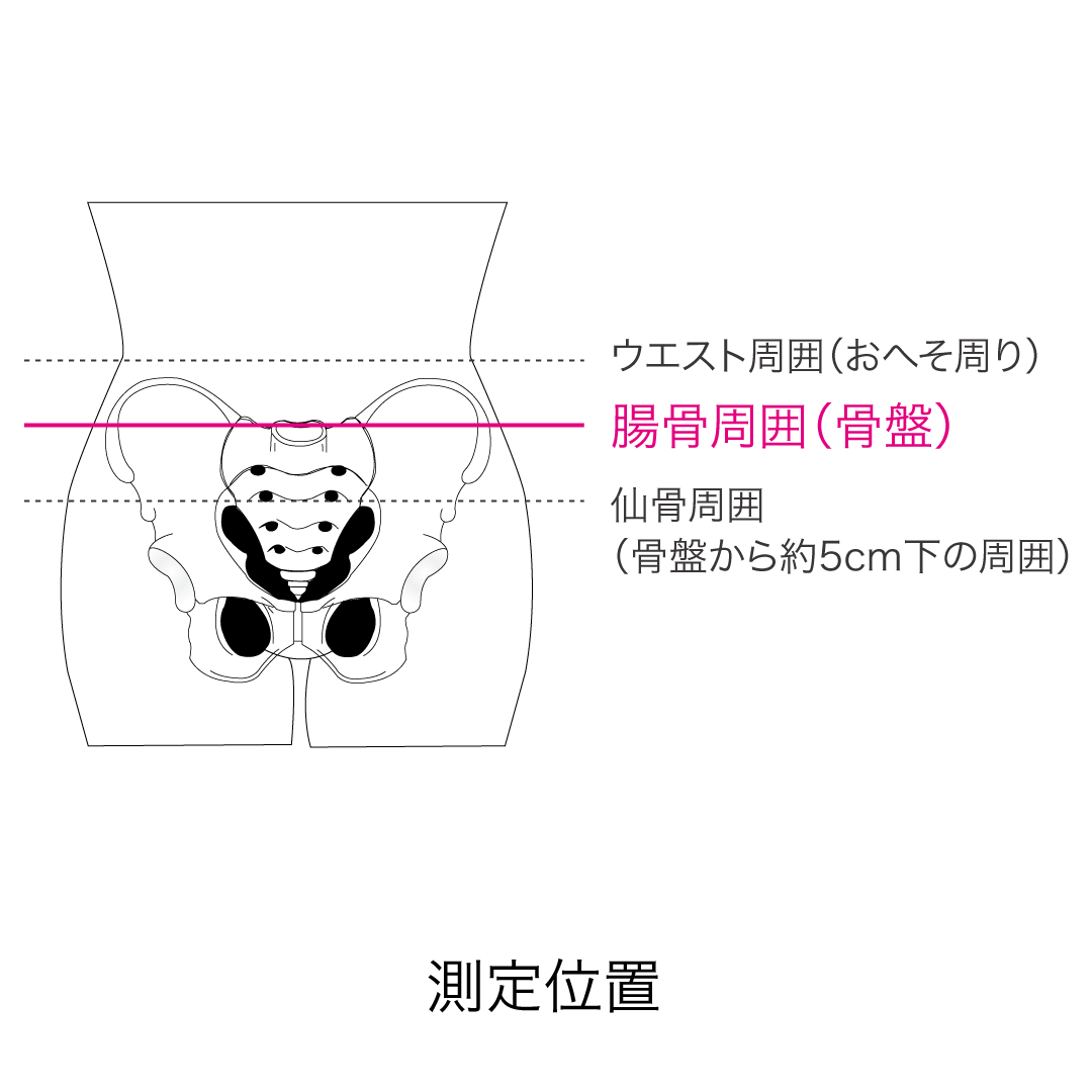 （完成品）bonbone Adjust 腰【Wギア ミドル】