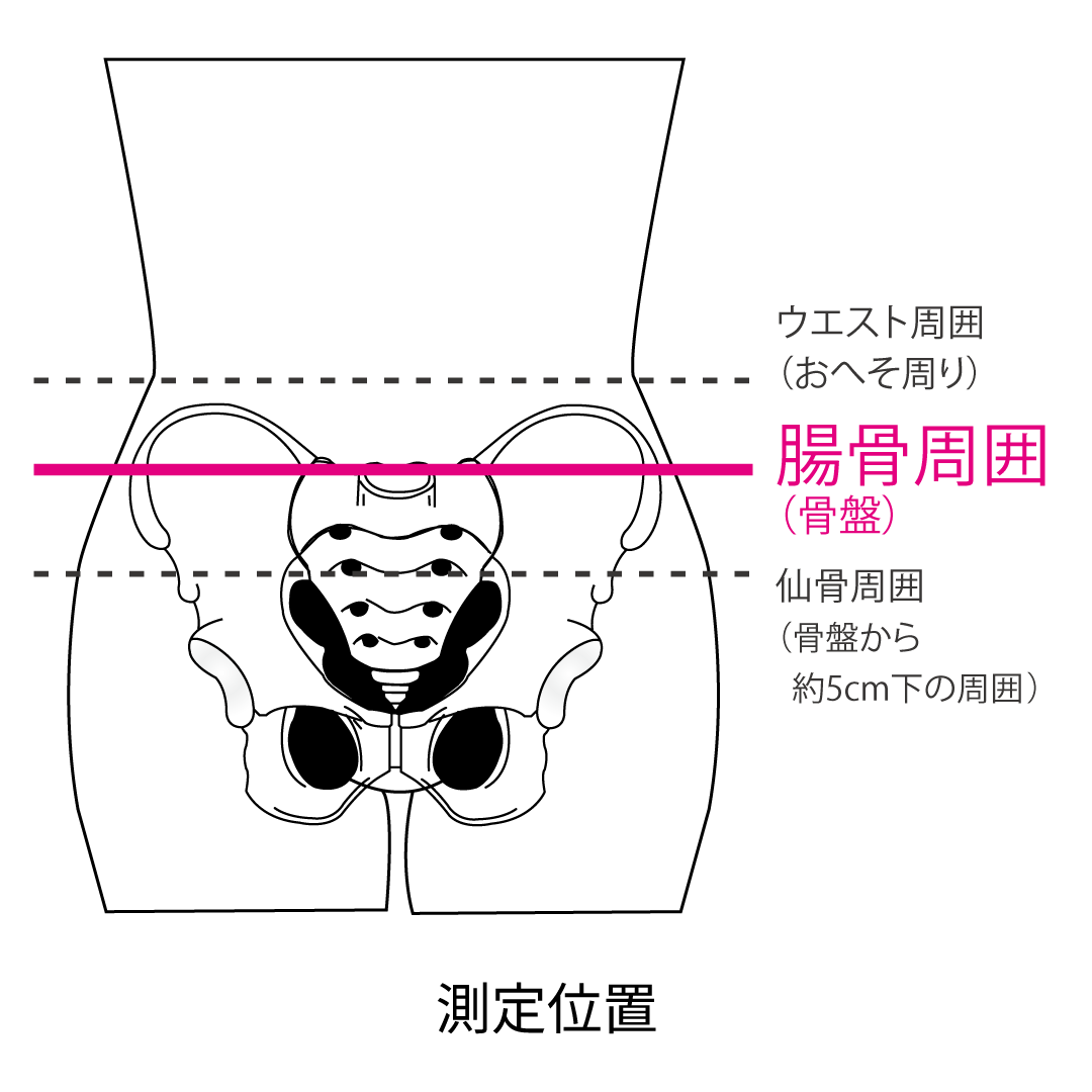 （リニューアル後）プロハードスリム